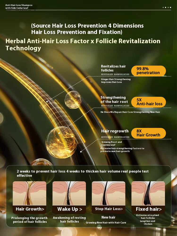 🔥Final 3 Hours 50% Off🏆Platycladus orientalis leaf and ginger anti-hair loss oil control hair growth shampoo